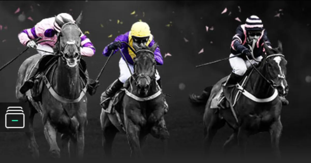 特蕾莎主播,闭关备考三,考研逆袭后,世界杯竞猜,2026世界杯,竞猜技巧,赔率分析,赛事预测